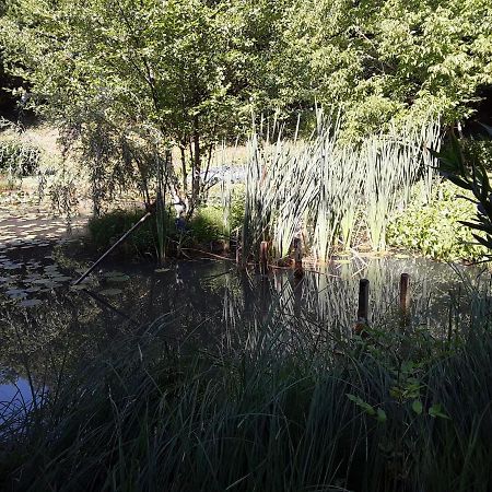 Le Chalet De La Grenouille Verte Tursac Экстерьер фото